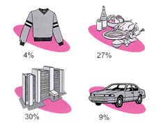 Clothing and Footwear 4%, Food 27%, Housing 30%, Transport 9%