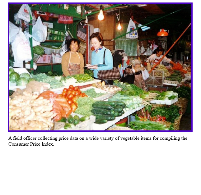 A field officer collecting price data on a wide variety of vegetable items for compiling the Consumer Price Index.