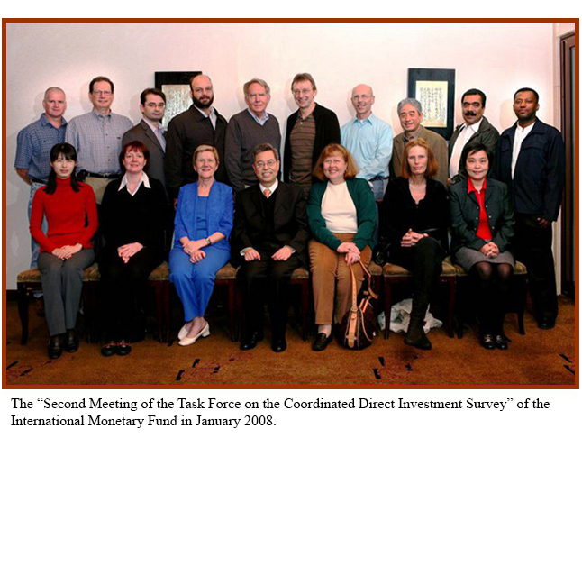 The “Second Meeting of the Task Force on the Coordinated Direct Investment Survey” of the International Monetary Fund in January 2008.