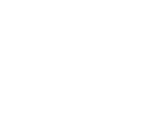 諮詢與立法