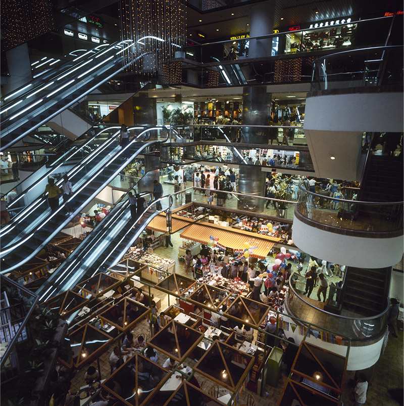 1981 img4