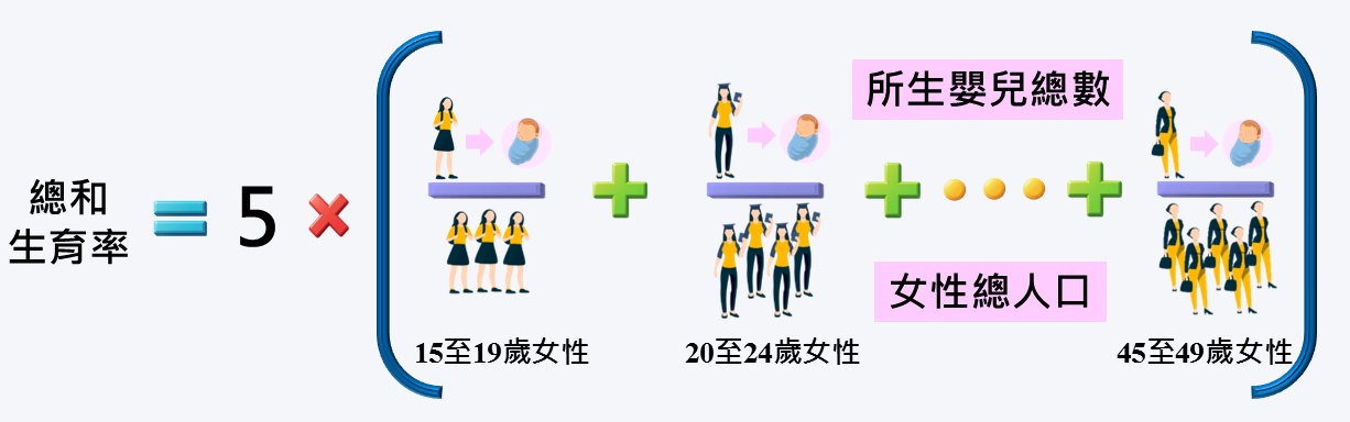 總和生育率的計算方法