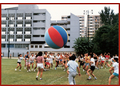 The first Departmental Sports Day was held at Perth Street Sports Ground in 1984.  The photo was taken at the telegames session.